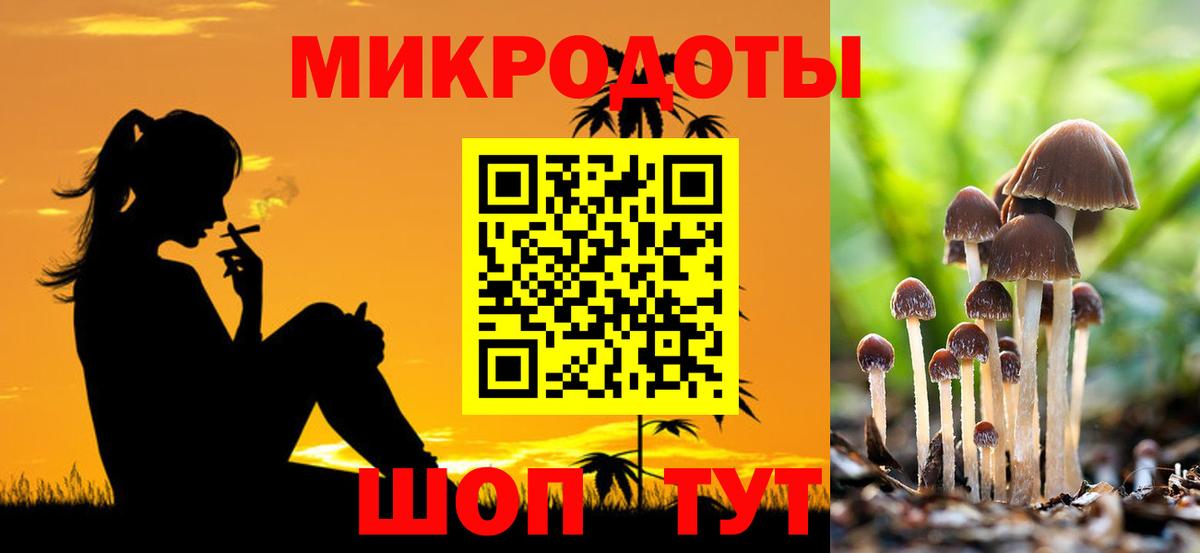 Воткинск  Псилоцибиновые грибы Cubensis  Вход с VPN 